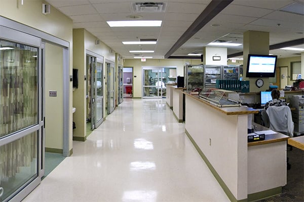 洛地医院走廊图片